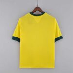 BRASIL TITULAR RETRO 1970 - Imagen 4