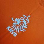 HOLANDA PAISES BAJOS TITULAR RETRO 2004 - Imagen 3