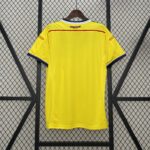 COLOMBIA TITULAR RETRO 2014 - Imagen 2