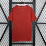 MANCHESTER UNITED TITULAR RETRO 2010/11 - Imagen 2