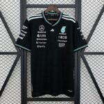 MERCEDES F1 2025