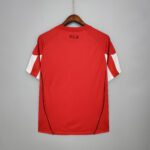 BAYERN TITULAR RETRO 2010/11 - Imagen 3
