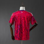 COSTA RICA TITULAR 2026 - Imagen 2