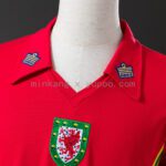 GALES TITULAR RETRO 1976/79 - Imagen 3