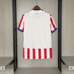 PARAGUAY TITULAR 2026 - Imagen 2